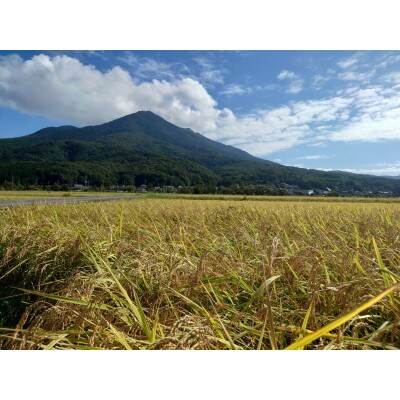 令和5年産米【2月中旬より順次発送】茨城県産あきたこまち　精米5kg