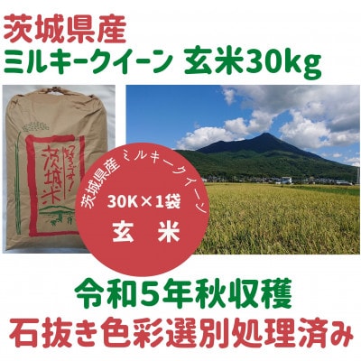 【1月中旬以降発送】令和5年茨城県産ミルキークイーン玄米30kg　石抜き・黒はん点米・籾粒除去処理済