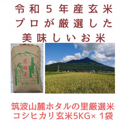 【10月下旬から発送】5年産筑波山麓ホタルの里コシヒカリ　玄米5kg　厳選し透き通った大粒米