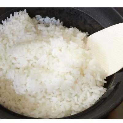 【10月下旬から発送】5年産筑波山麓ホタルの里コシヒカリ　玄米5kg　厳選し透き通った大粒米