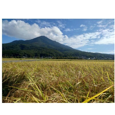 【3月中旬より順次発送】令和5年茨城県産にじのきらめき玄米30kg　黒斑点米・小石粒など除去済み