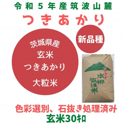 【5月中旬より順次発送】令和5年産茨城県産つきあかり玄米30kg　黒斑点米・小石粒など除去済み