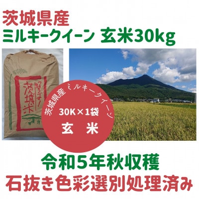 【4月中旬以降発送】令和5年茨城県産ミルキークイーン玄米30kg　石抜き・黒はん点米・籾粒除去処理済