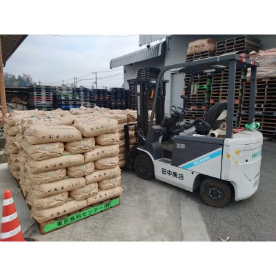 【4月中旬以降発送】令和5年茨城県産ミルキークイーン玄米30kg　石抜き・黒はん点米・籾粒除去処理済