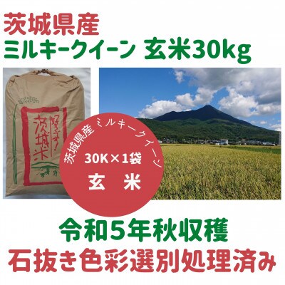 【5月中旬以降発送】令和5年茨城県産ミルキークイーン玄米30kg　石抜き・黒はん点米・籾粒除去処理済