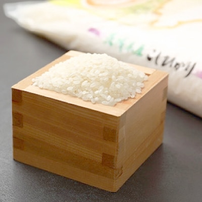 【令和6年産】 精米 コシヒカリ 5kg 茨城県産 順次発送