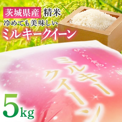 【令和6年産】 精米 ミルキークイーン 5kg 茨城県産 順次発送 冷めても美味しいお米