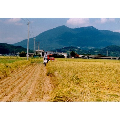 新米の先行予約【令和7年産 茨城県産コシヒカリ精米5kg】9月上旬より順次発送予定