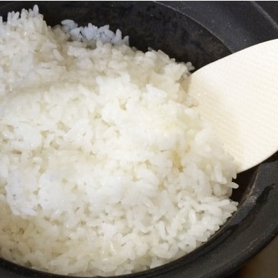 新米の先行予約【令和7年産 茨城県産コシヒカリ精米5kg】9月上旬より順次発送予定