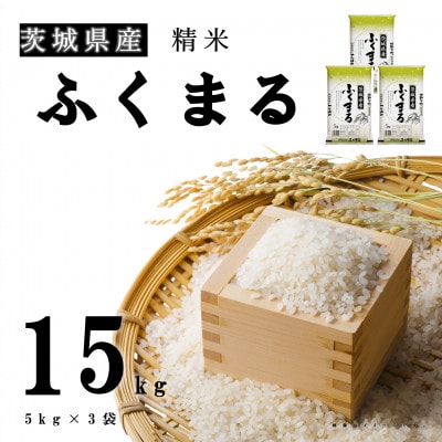 【令和7年産】新米 茨城県産 ふくまる 精米 15kg(5kg×3袋) 大粒で美味しい お米