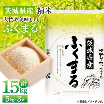 【令和7年産】新米 茨城県産 ふくまる 精米 15kg(5kg×3袋) 大粒で美味しい お米