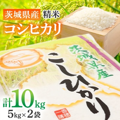 【令和7年産】茨城県産 コシヒカリ 精米10kg ( 5kg ×2袋)  美味しい お米