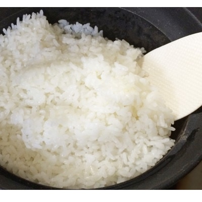 【令和7年産 新米】茨城県産 コシヒカリ 精米10kg(5kg×2袋)