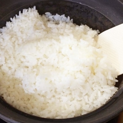 【令和7年産】茨城県産 コシヒカリ 精米10kg ( 5kg ×2袋)  美味しい お米