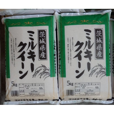 【令和7年産 茨城県産ミルキークイーン精米10kg(5kg×2袋)】冷めても美味しいお米