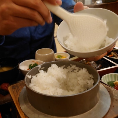 【令和7年産 茨城県産ミルキークイーン精米10kg(5kg×2袋)】冷めても美味しいお米