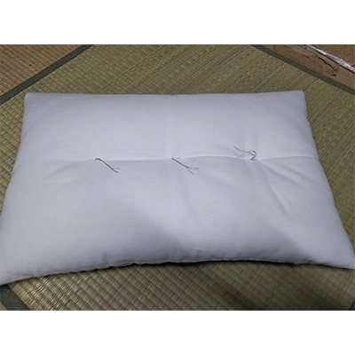 綿入れ枕(オーガニック枕カバー付き)1個
