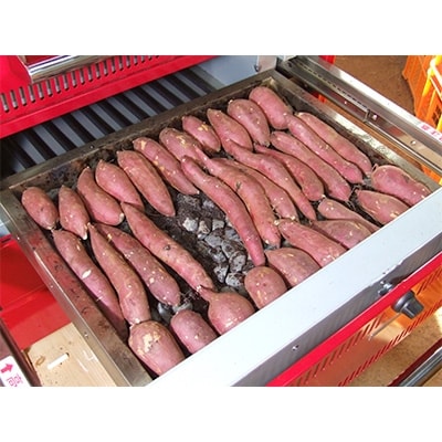 焼いも　はるか　約4.5kg(約1.5kg×3箱)