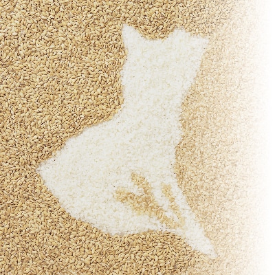 令和4年産茨城県産コシヒカリ・ミルキークイーン　精米　詰合せ　合計10kg (5kg×2袋)