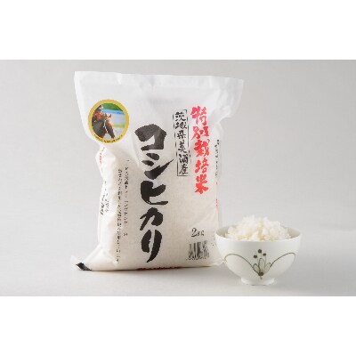 JA水郷つくば指定　令和3年産特別栽培米茨城県コシヒカリ　精米　10kg (5kg×2袋)