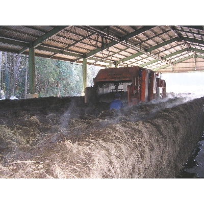 JA水郷つくば指定　令和3年産特別栽培米茨城県コシヒカリ　精米　10kg (5kg×2袋)