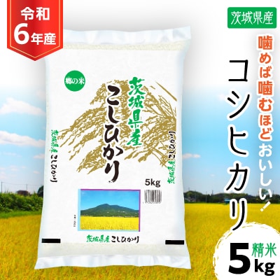 令和6年産 茨城県産 コシヒカリ 精米 合計5kg (5kg×1袋)