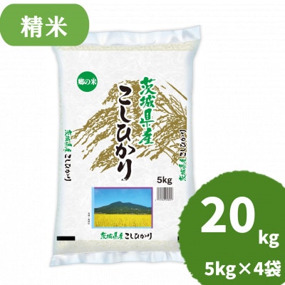 【令和7年産】 茨城県産 コシヒカリ 精米 合計20kg (5kg×4袋) 茨城のおいしい お米