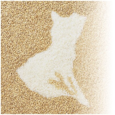 【令和7年産】茨城県産コシヒカリ・あきたこまち 無洗米 詰合せ 合計10kg (5kg×2袋) お米