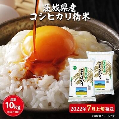 【2022年7月上旬発送】令和3年産茨城県産コシヒカリ　精米　合計10kg (5kg×2袋)