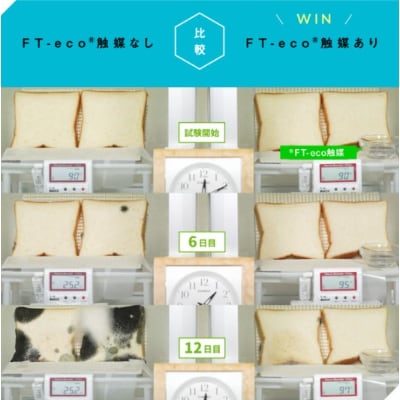 土浦発　プラチナ触媒を利用した野菜・果物の鮮度維持グッズ　FT-eco Ball  1個