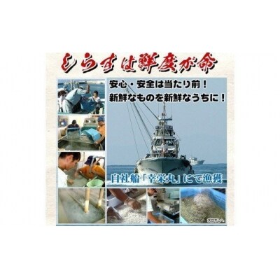 安心・安全!無添加!網元の天日干しちりめん 200g×3P 約600g