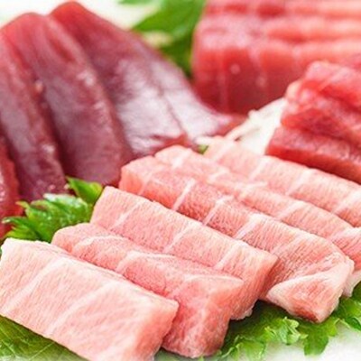 【6ヶ月連続お届け!】南マグロ丸ごと1本分定期便