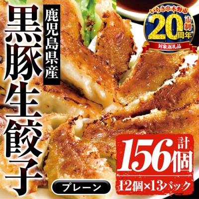 【家計応援】鹿児島黒豚生餃子 合計156個(12個×13P)タレ付き!国産野菜使用【60日以内配送】