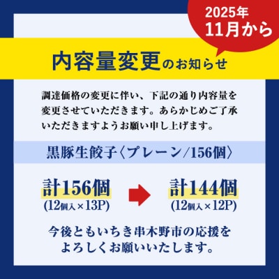 【家計応援】鹿児島黒豚生餃子 合計156個(12個×13P)タレ付き!国産野菜使用【60日以内配送】