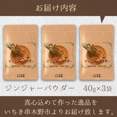 鹿児島県産ジンジャーパウダー(40g×3)自社農園の新生姜のみ使用!