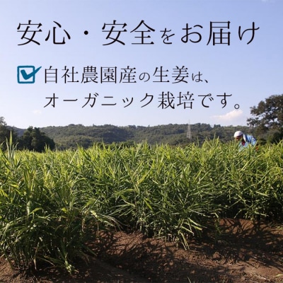 鹿児島県産ジンジャーパウダー(40g×3)自社農園の新生姜のみ使用!