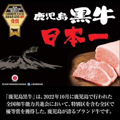 鹿児島黒牛ローストビーフセット(計600g・200g×3、ソース付)!≪F-19≫