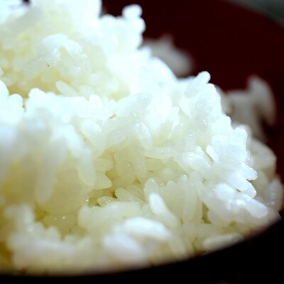 定期便 鹿児島県産ひのひかり 無洗米 2kg 3袋 3回 1ヶ月おき計3回の定期便 お礼品詳細 ふるさと納税なら さとふる 定期便 鹿児島県産ひのひかり 無洗米 2kg 3袋 3回 1ヶ月おき計3回の定期便 お礼品詳細 ふるさと納税なら さとふる
