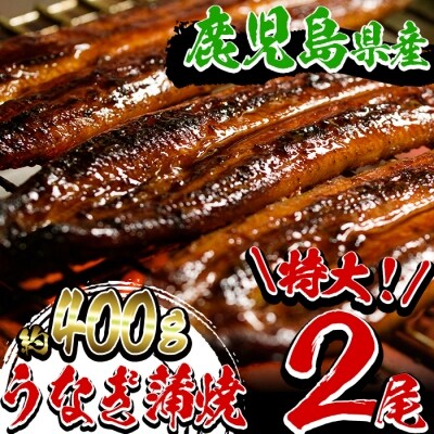 【期間限定】鹿児島県産うなぎ蒲焼特大2尾 合計約400g!