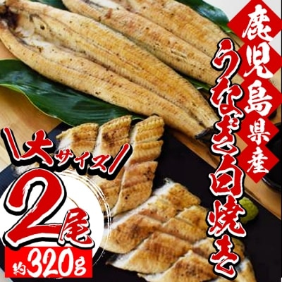 【数量限定】厳選!鹿児島県産うなぎ白焼　合計2尾(自家製タレ付) | ふるさと納税のお礼品
