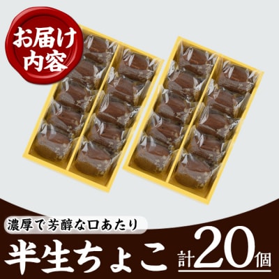 軽い食感のチョコケーキ 半生ちょこ20個 (小分け・箱入り)