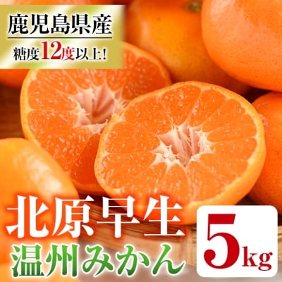 【11月中旬頃～発送】JAさつま日置産　北原早生(温州みかん)　合計約5kg
