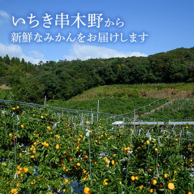 【10月下旬頃発送開始】JAさつま日置産　北原早生(温州みかん)　合計約5kg