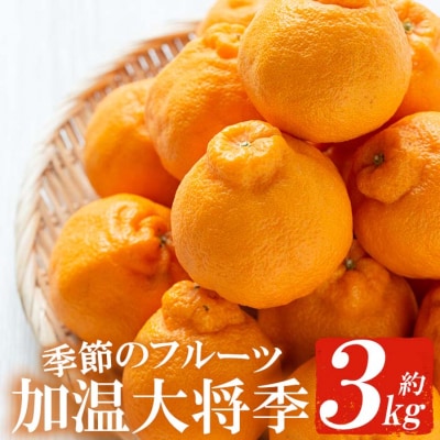 【先行受付中!11月下旬頃順次発送】鹿児島県産加温大将季(だいまさき)約3kg