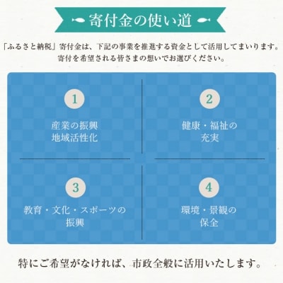 いちき串木野市への返礼品無し寄付(10,000円分)