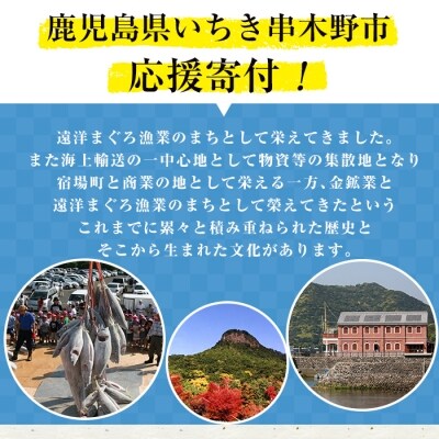 いちき串木野市への返礼品無し寄付(50,000円分)