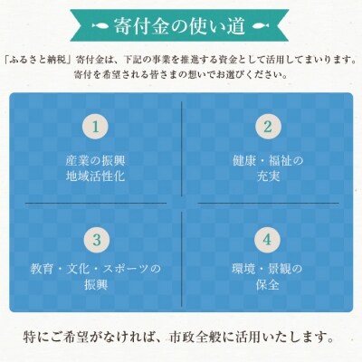 いちき串木野市への返礼品無し寄付(50,000円分)