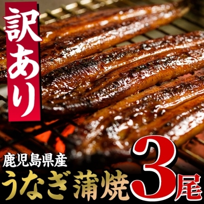 <訳あり>鹿児島県産うなぎ蒲焼3尾(約400g)個別真空パックでお届け