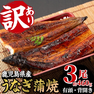 【訳あり】国産うなぎ(鹿児島県産うなぎ)蒲焼 3尾(約460g超え)【60日以内配送】
