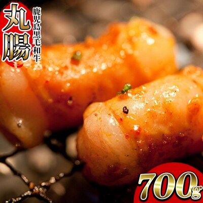 もつ鍋や焼肉に!鹿児島県産黒毛和牛ホルモン(丸腸)約700g